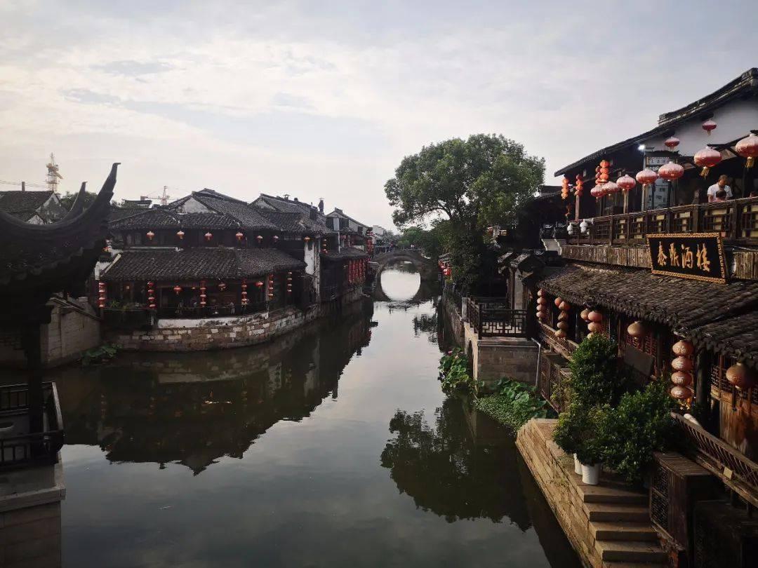 探寻天涯,发现如果爆发丧尸,你会选择哪个动漫角色来抵抗?的精彩世界